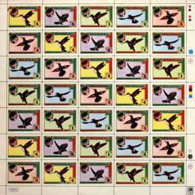 Hummingbird 1974